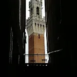 Ristrutturato A 50 Metri Da Piazza Del Campo Apartment *