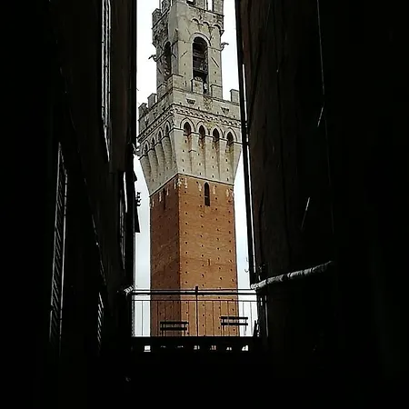 Ristrutturato A 50 Metri Da Piazza Del Campo شقة *